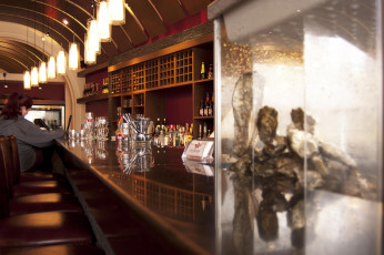 Starfish Oyster Bar